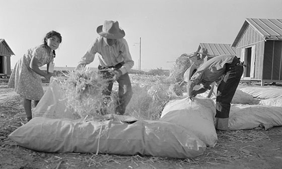 Quelle est l’histoire du matelas ?